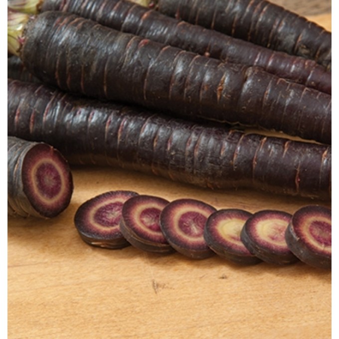 صادرات میوه هویج بنفش ارگانیک