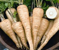 خرید عمده هویج زردک شیرین