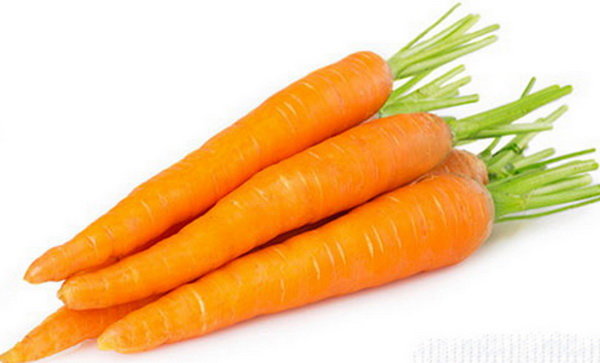 قیمت بهترین میوه هویج بازار