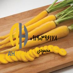 قیمت بهترین هویج زرد شیراز