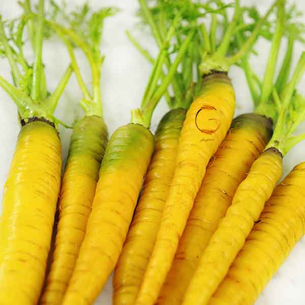 قیمت بهترین هویج تازه زرد