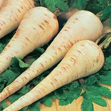 بهترین قیمت هویج زردک تهران