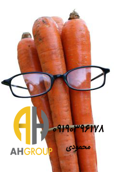 قیمت بهترین هویج فرنگی صادراتی