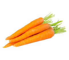 خرید مستقیم هویج از کشاورزان شیراز