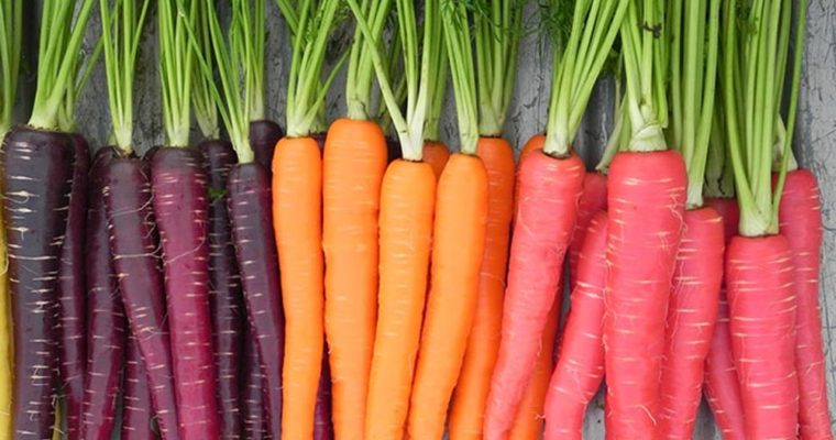 فروش اینترنتی انواع هویج ایرانی