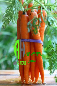 خرید اینترنتی میوه هویج دزفول