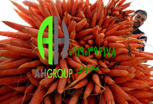 فروش هویج و مصرف ناشتا