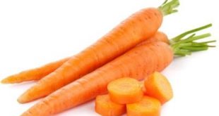 صادرات بهترین هویج تازه