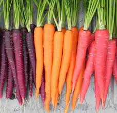 مرکز خرید انواع هویج ایرانی