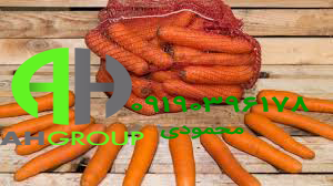 قیمت فروش هویج اصفهان