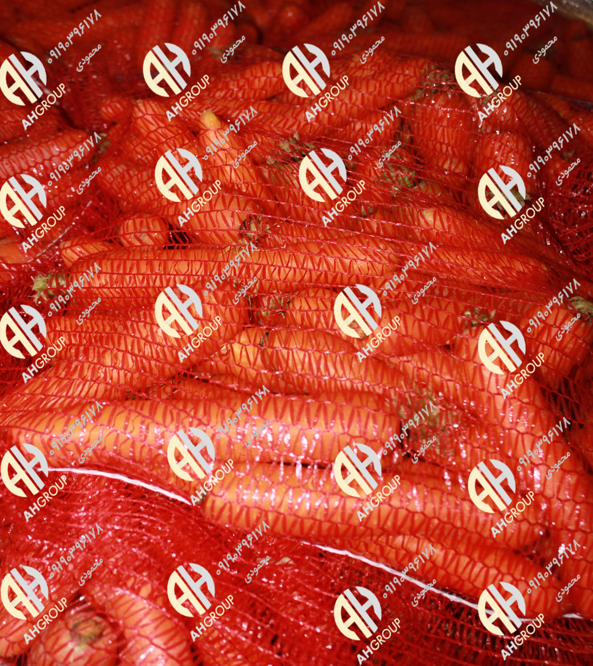 بازار خرید هویج دزفول