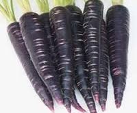 قیمت انواع هویج سیاه ارگانیک