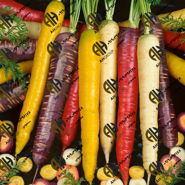 فروش اینترنتی هویج ایرانی