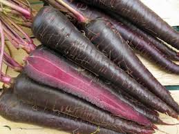 ارزان ترین مدل هویج سیاه