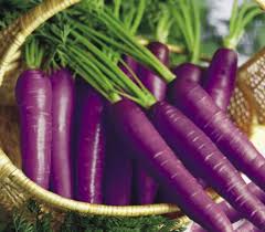 فروش اینترنتی هویج بنفش