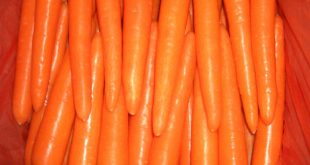 پرفروش ترین هویج صادراتی