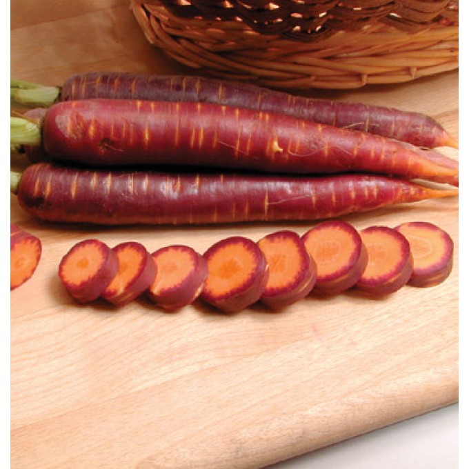 قیمت خرید هویج بنفش