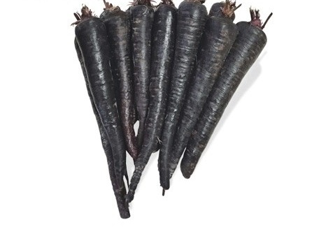 پرفروش ترین هویج سیاه