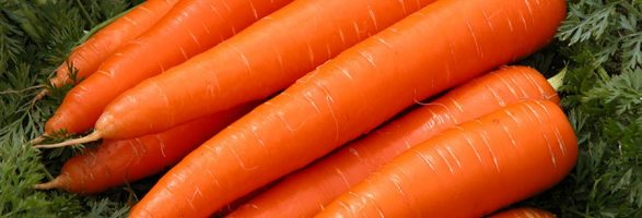 تجارت اینترنتی هویج ارگانیک