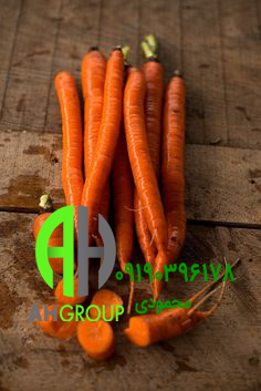 قیمت هویج در مشهد