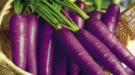 سایت فروش هویچ بنفش