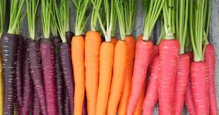 قیمت فروش هویج ایرانی