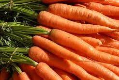 فروشگاه اینترنتی هویج دزفول