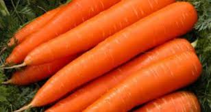 بازار فروش هویج شیرین