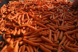 تولید جدیدترین هویج ایرانی