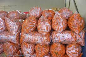 بازار خرید هویج فرنگی