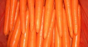 ارزان ترین مدل هویج گلخانه ای