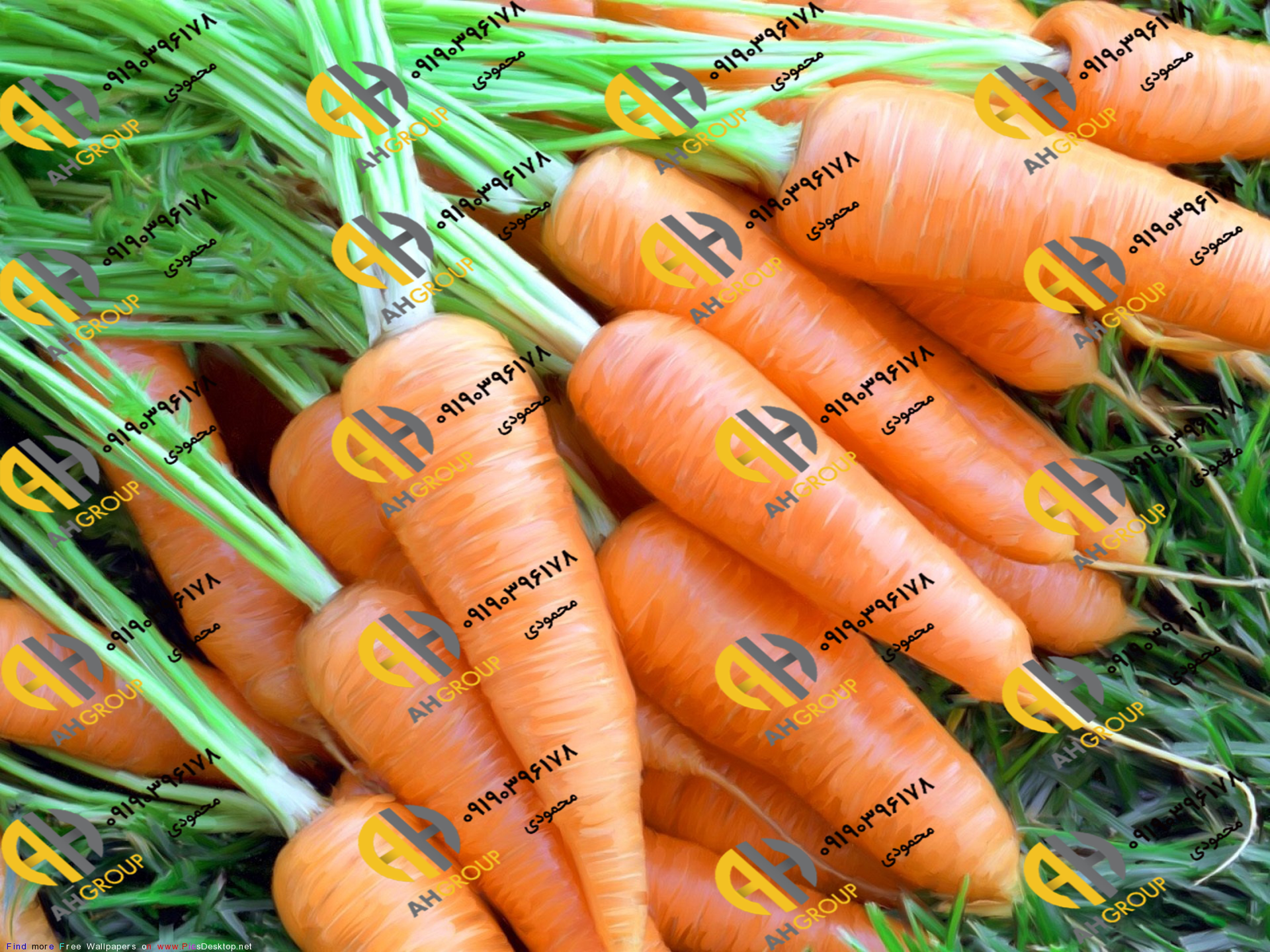 سایت خرید میوه هویج ایرانی