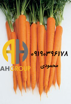 خرید اینترنتی هویج دزفول