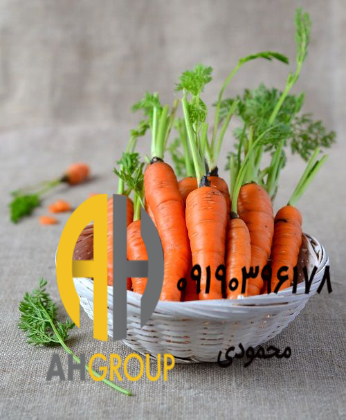 خرید اینترنتی بهترین هویج دزفول