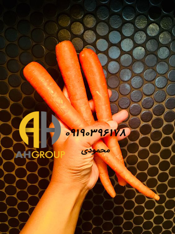 قیمت انواع هویج بازار تهران