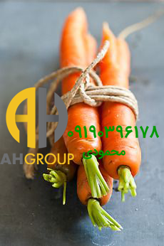 فروش انواع هویج ارگانیک