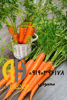 خرید میوه هویج و درمان بیماری ها