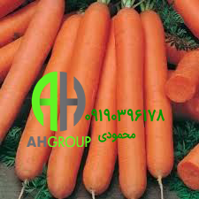 تولید و فروش هویج برای سلامت بینایی