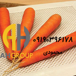 فروش عمده هویج شیراز