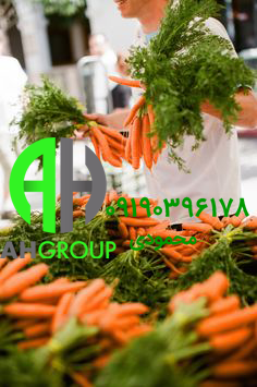 قیمت خرید هویج تازه شیراز