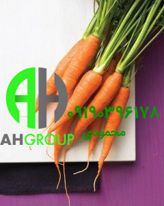 فروش اینترنتی هویج تازه
