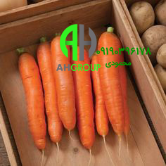 فروش اینترنتی انواع هویج دزفول