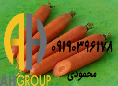 خرید و فروش هویج تازه و بهداشتی