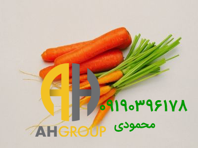 تولید هویج میوه شگفت انگیز