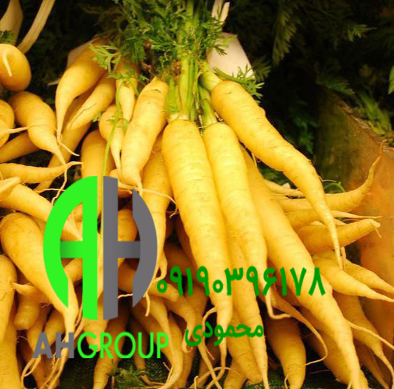 پخش عمده هویج زردک