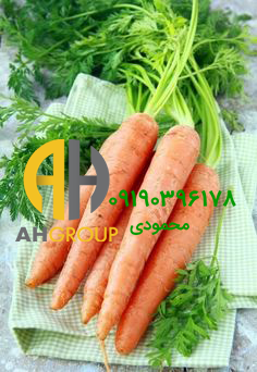 تجارت اینترنتی هویج اصفهان