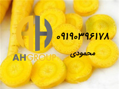 فروش انواع هویج زرد تازه