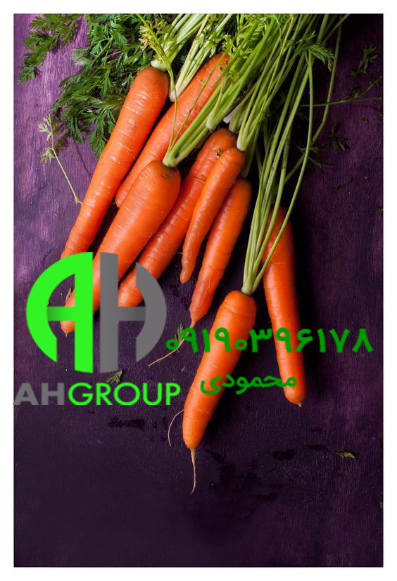 عرضه اینترنتی هویج ایرانی