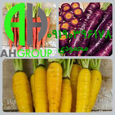 خرید انواع هویج گلخانه ای