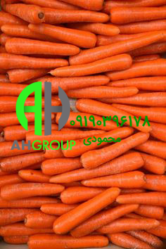 خرید هویج مانع قدرتمندی برای آفتاب سوختگی